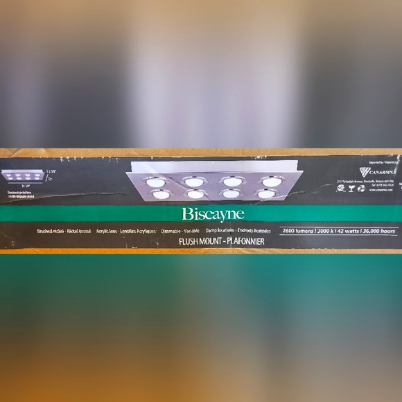 BISCAYNE BRUSHED NICKEL - CANARM Flush Mount Light (COPY) - Picture 5 of 8